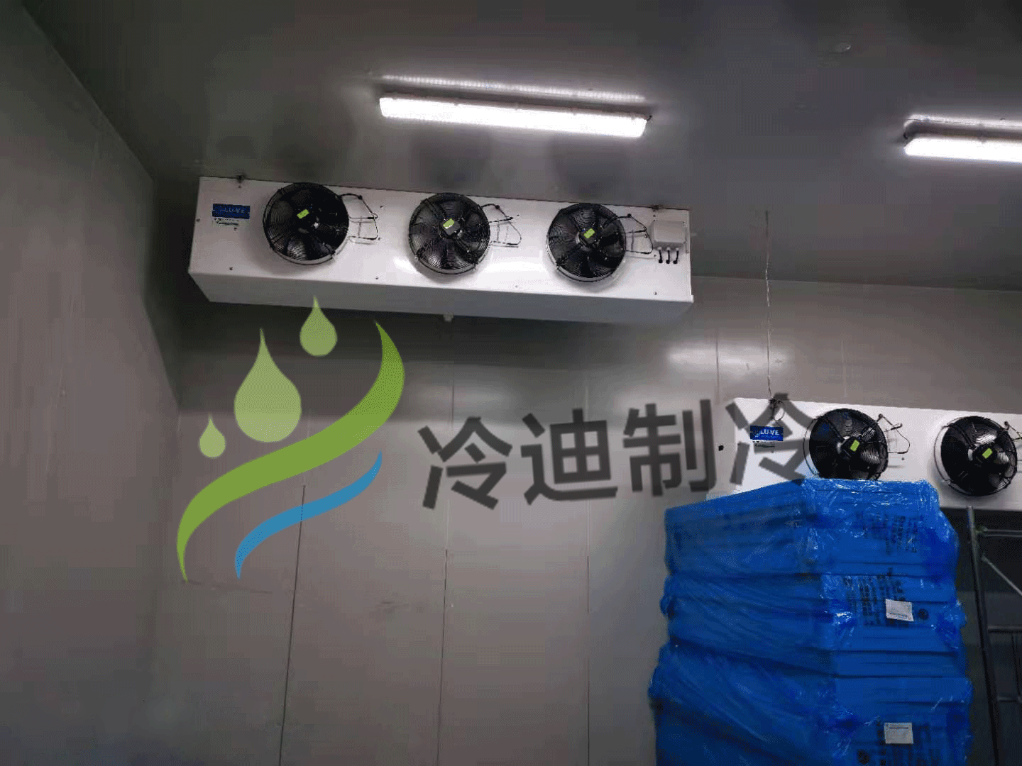 藥品冷庫-醫(yī)藥冷庫使用注意事項(xiàng)(圖1) 藥品冷庫-醫(yī)藥冷庫使用注意事項(xiàng)(圖1)