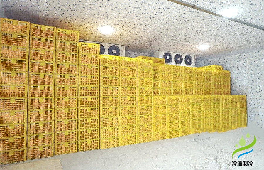 建造一個橙子冷庫需要多少錢？(圖2)