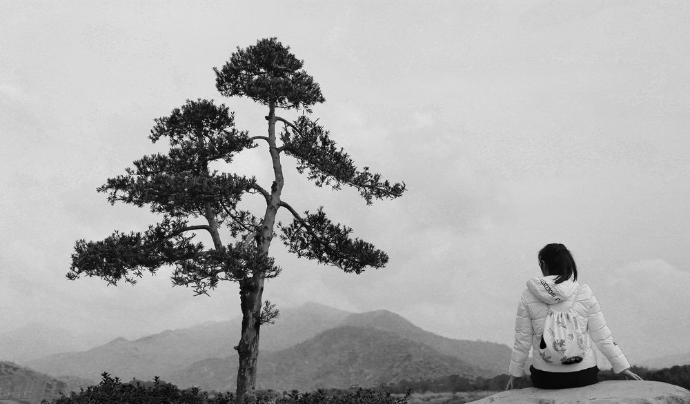 木霄挺 IMG_7013.jpg