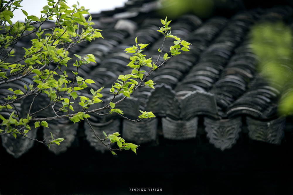 周挺業(yè) IMG_8145.jpg