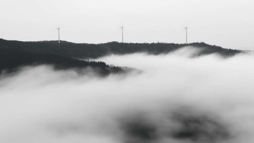 02 林葉 DSC_0198-2.jpg