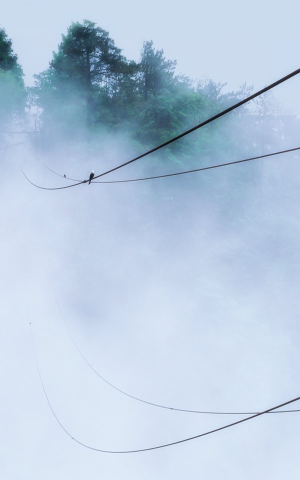 05 林葉 DSC_0208-2a.jpg