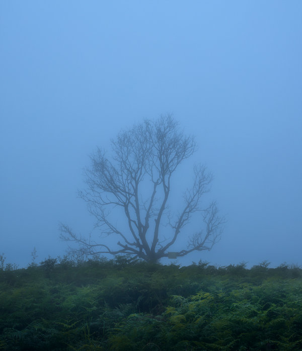 08 周挺業(yè)_MG_9124a.jpg