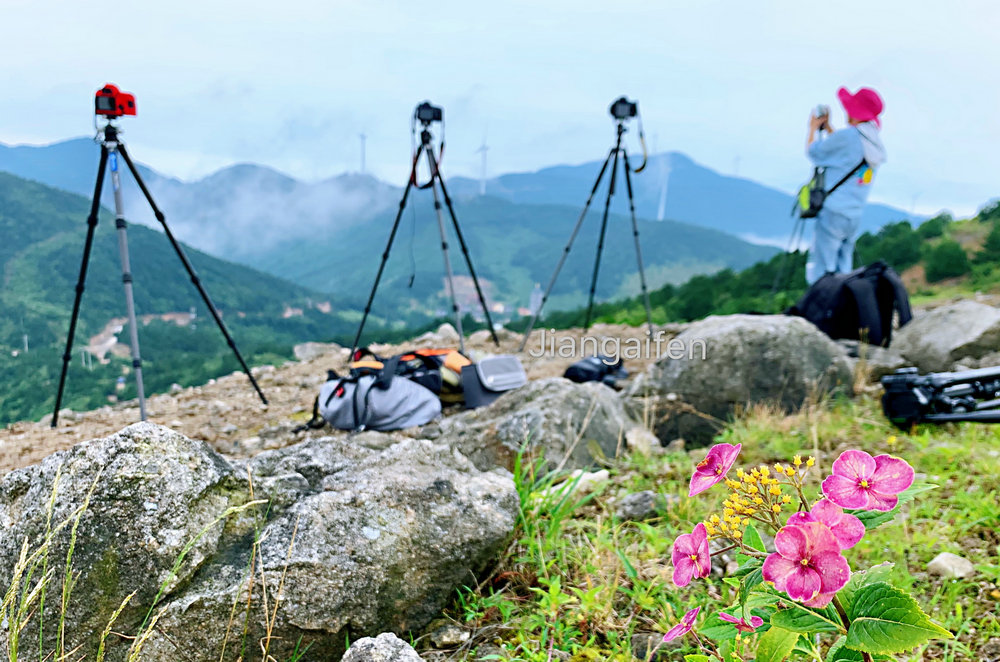 15 微信圖片_20200621192524.jpg