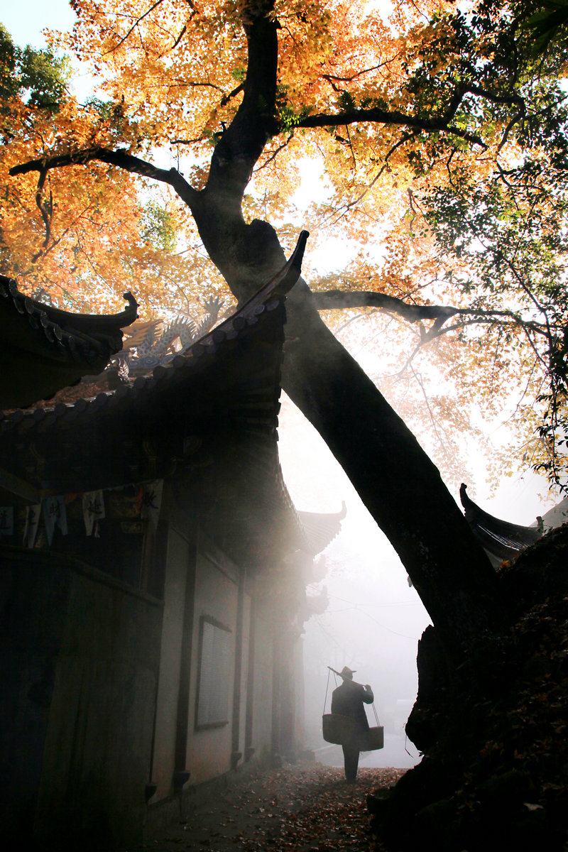 B類 3等獎(jiǎng) 張浩:晨出.jpg B類 3等獎(jiǎng) 張浩:晨出.jpg