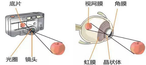 微信圖片_20210309103811_縮小大小.jpg