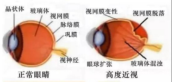 微信圖片_20210309103821_縮小大小.jpg