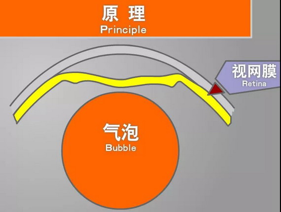 微信圖片_20210309103830_縮小大小.jpg