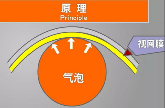微信圖片_20210309103838_縮小大小.jpg