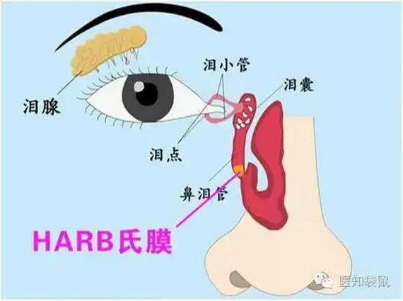 微信圖片_20210309134346_縮小大小.jpg