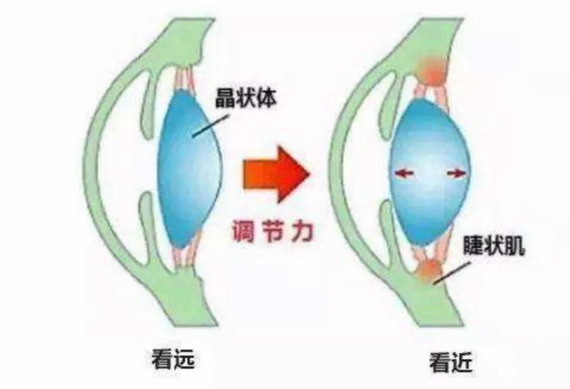 微信圖片_20210309134944_縮小大小.jpg