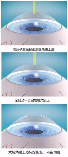 圖片3_縮小大小.png