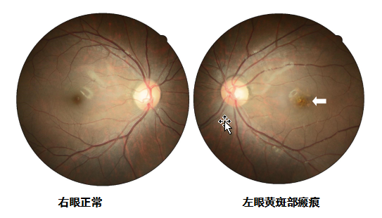 搜狗截圖20211229101548.png 搜狗截圖20211229101548.png