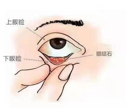 微信圖片_20220413144702.jpg 微信圖片_20220413144702.jpg