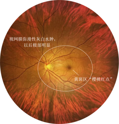 image.png image.png