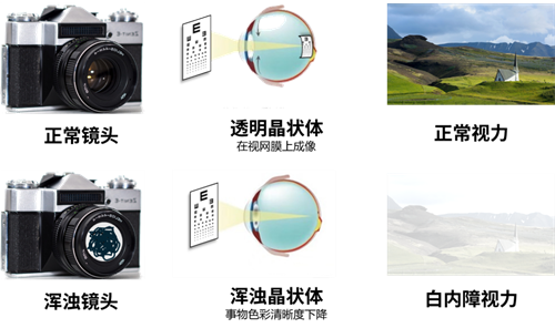 圖片2.png