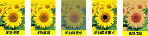 圖片4.png