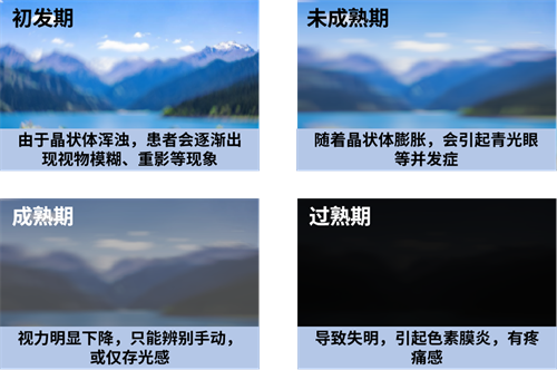 圖片5.png